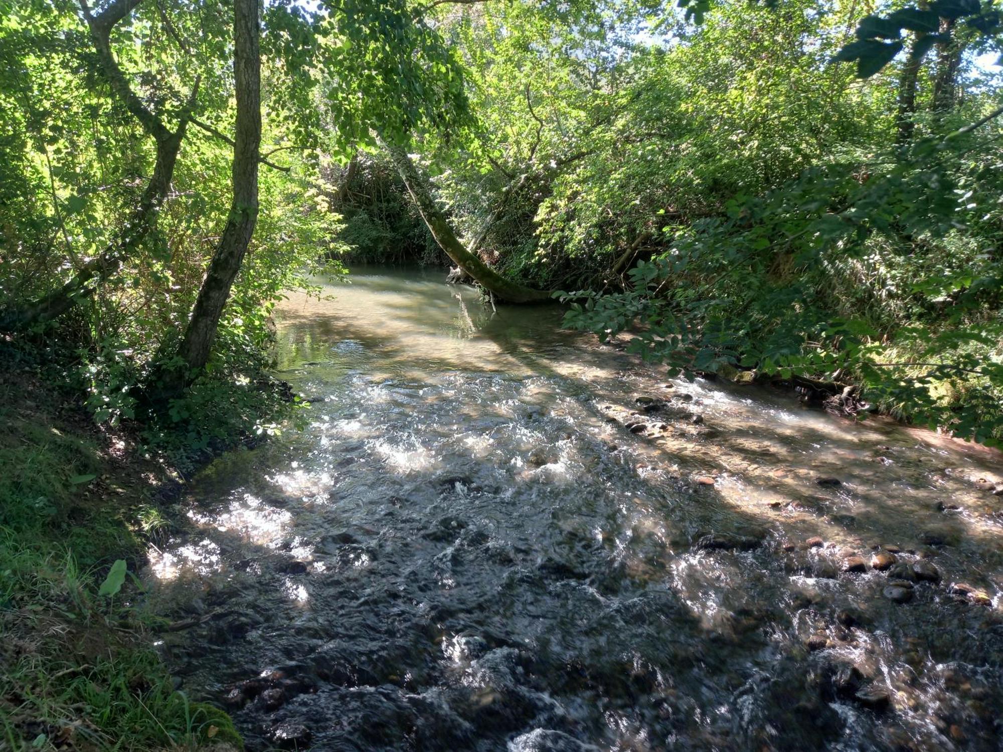 הוילה Campuzan L'Oasis Des Pyrenees מראה חיצוני תמונה