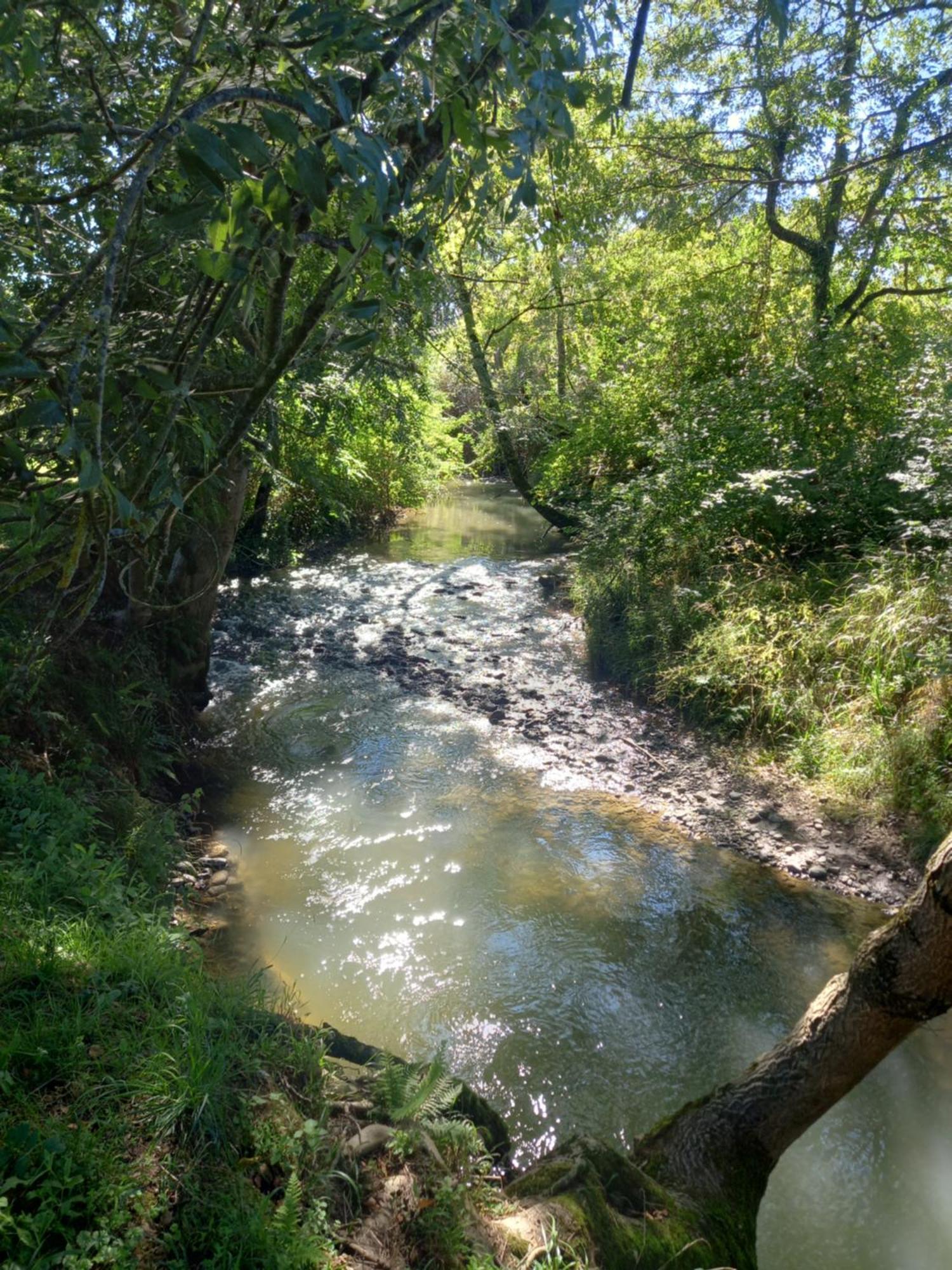הוילה Campuzan L'Oasis Des Pyrenees מראה חיצוני תמונה